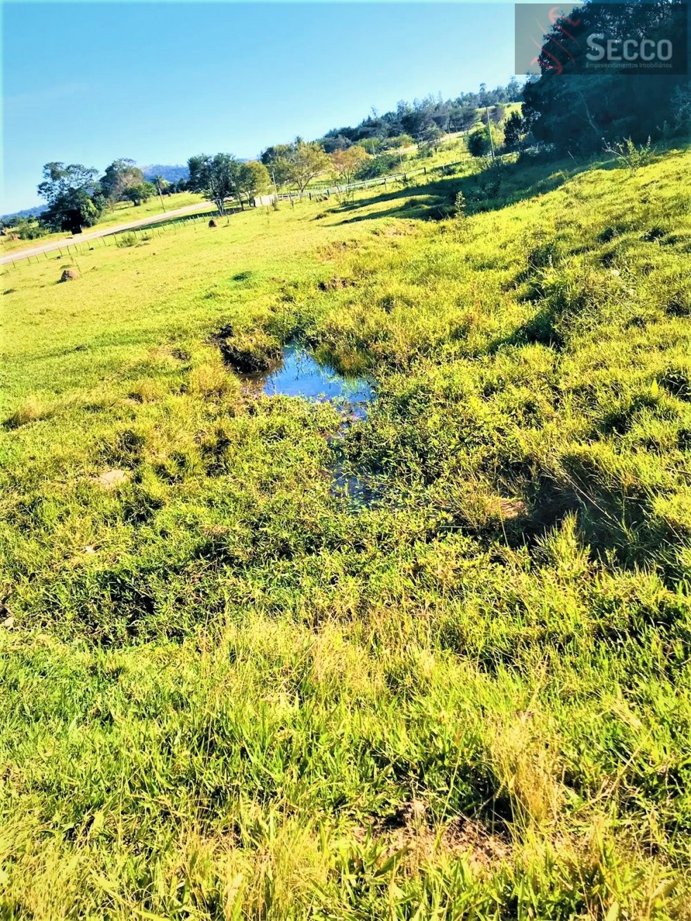 Fazenda à venda, 13000m² - Foto 11