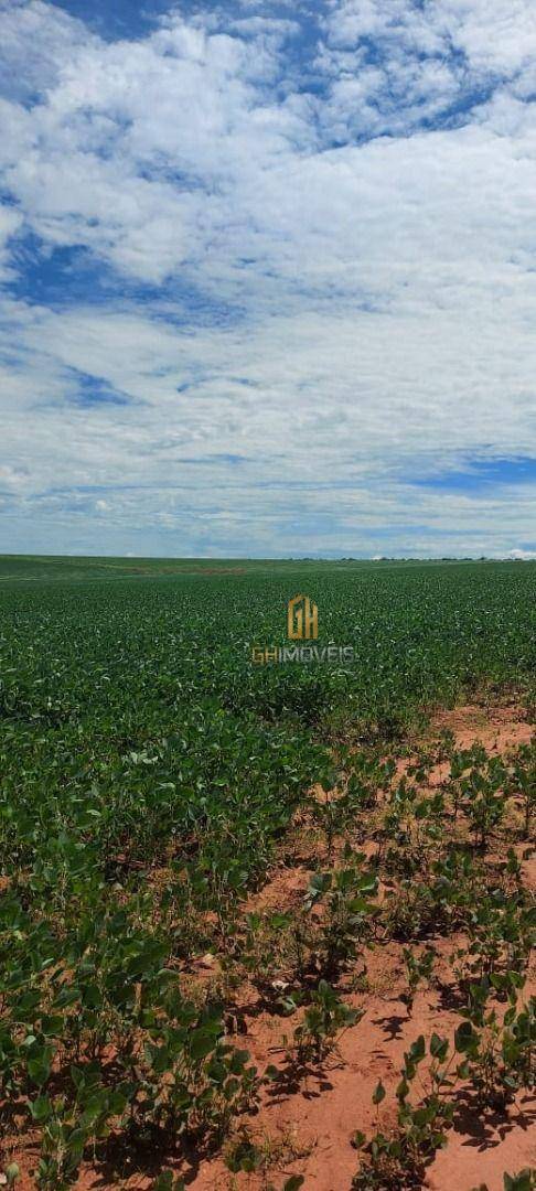 Fazenda-Sítio-Chácara, 350 hectares - Foto 1