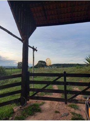 Fazenda à venda com 3 quartos, 7160000M2 - Foto 13