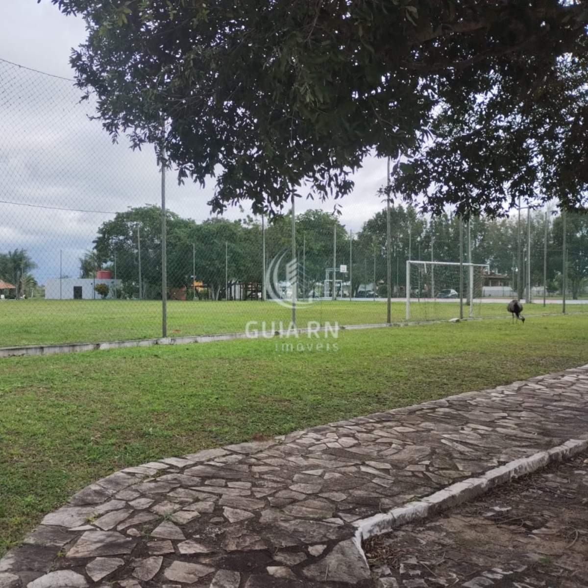 Terreno, 750 m² - Foto 6