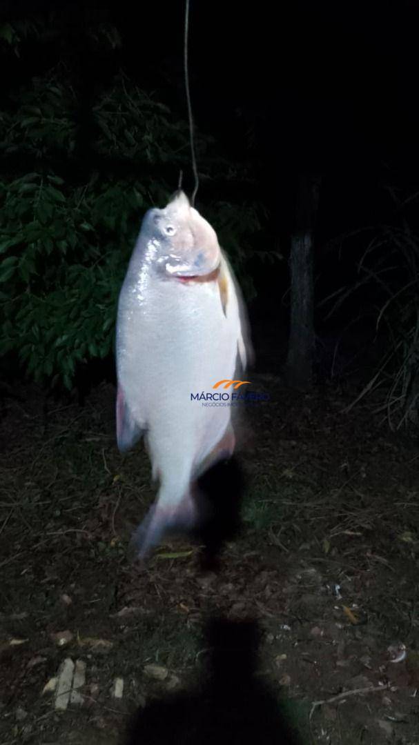 Fazenda, 322 hectares - Foto 25