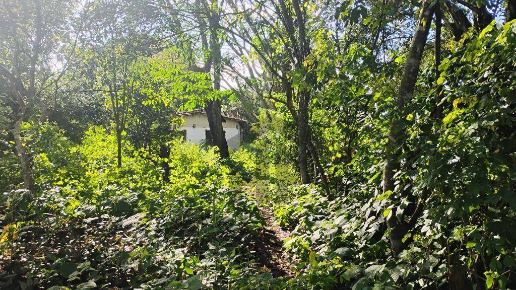 Terreno, 2000 m² - Foto 9