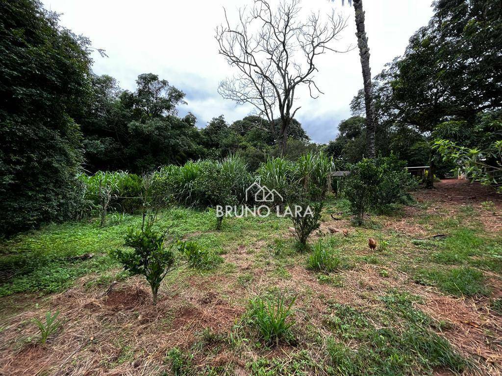 Terreno, 2 hectares - Foto 5