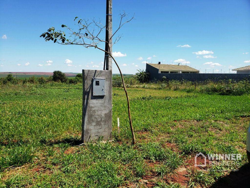 Chácara à venda com 1 quarto, 1000M2 - Foto 1