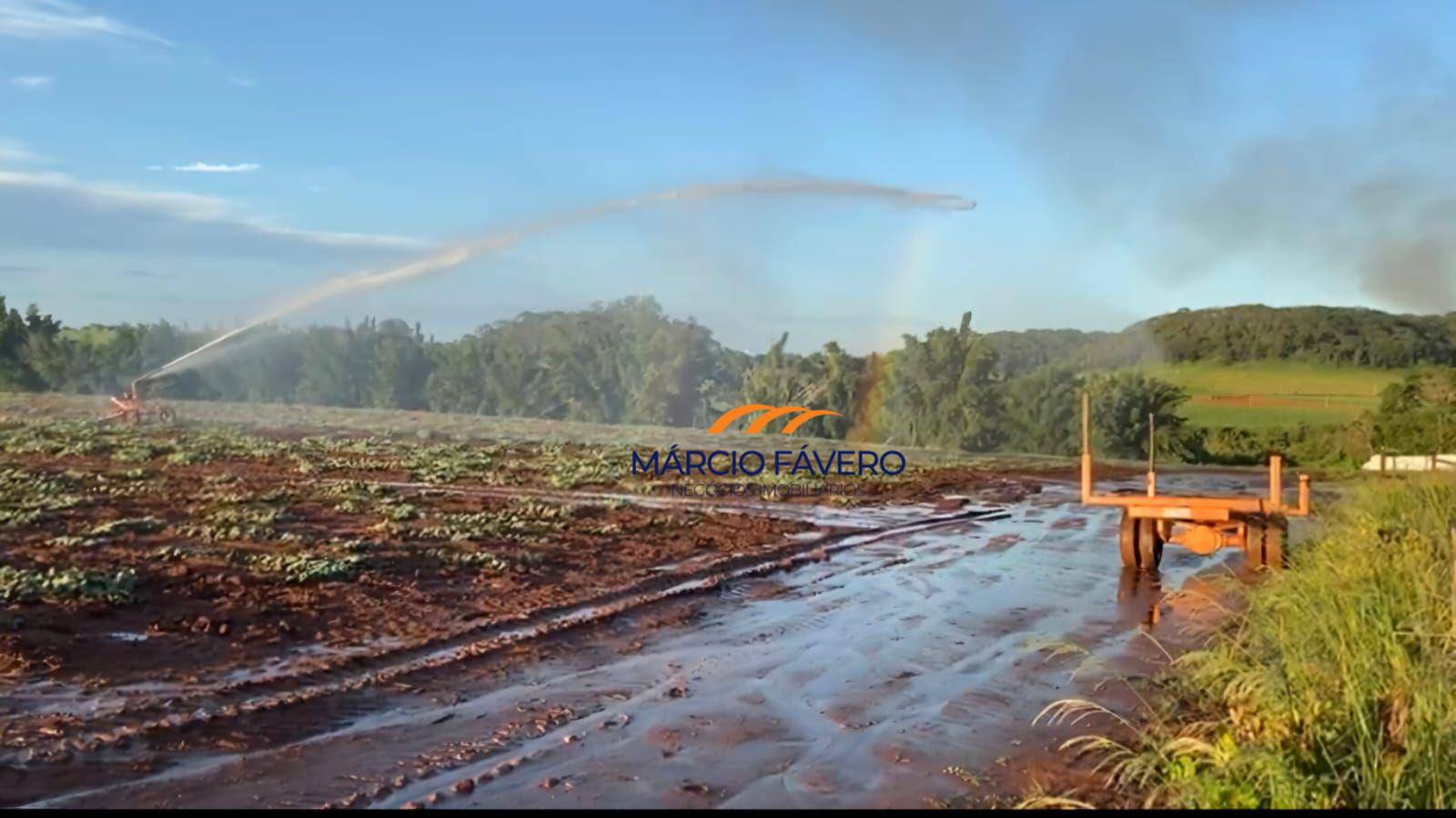 Fazenda, 329 hectares - Foto 1