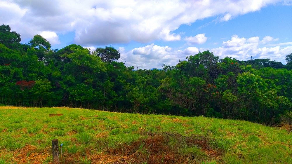 Terreno à venda, 1300m² - Foto 8