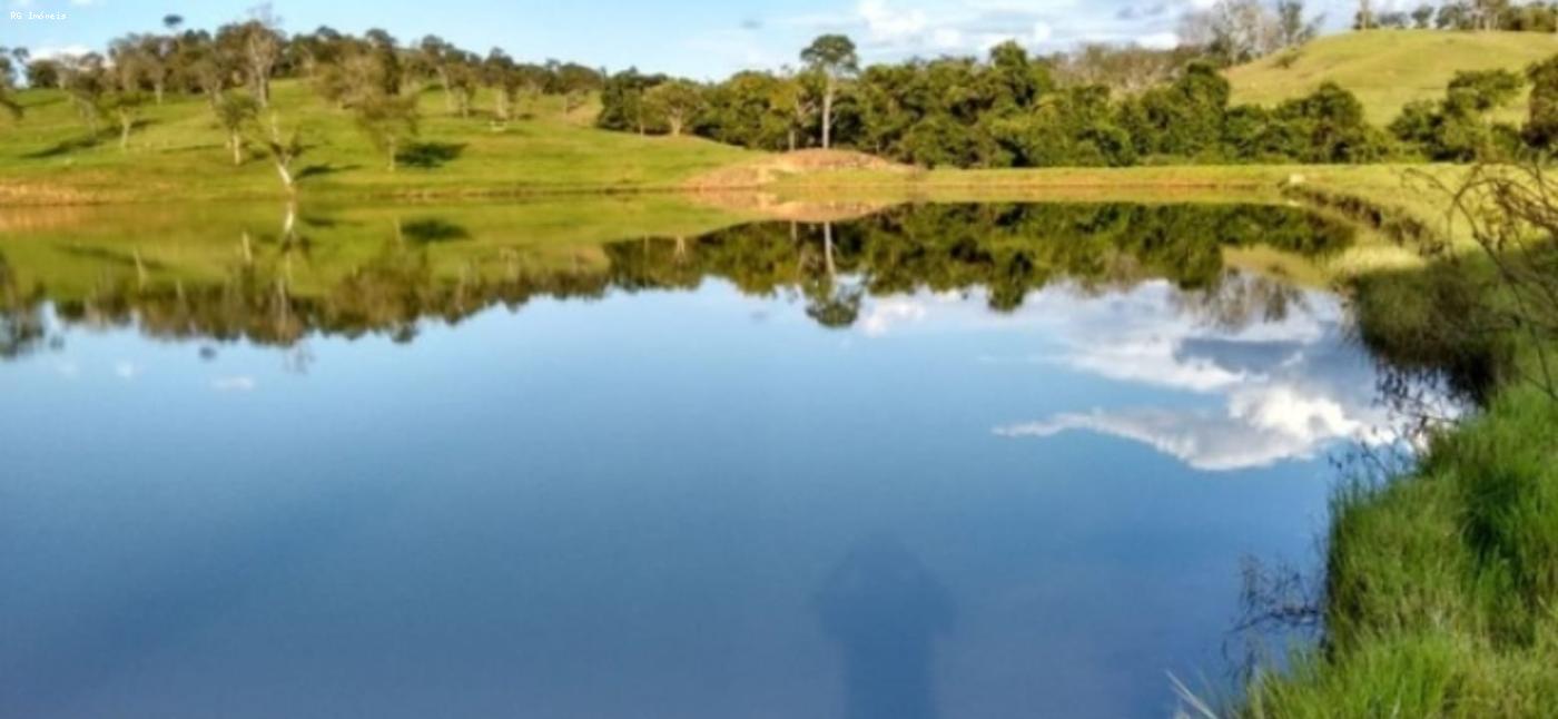 Fazenda à venda com 4 quartos, 2980000m² - Foto 4
