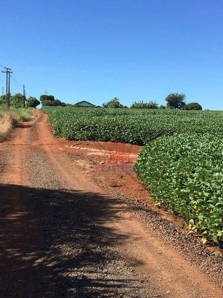 Sítio à venda com 3 quartos, 24200M2 - Foto 27