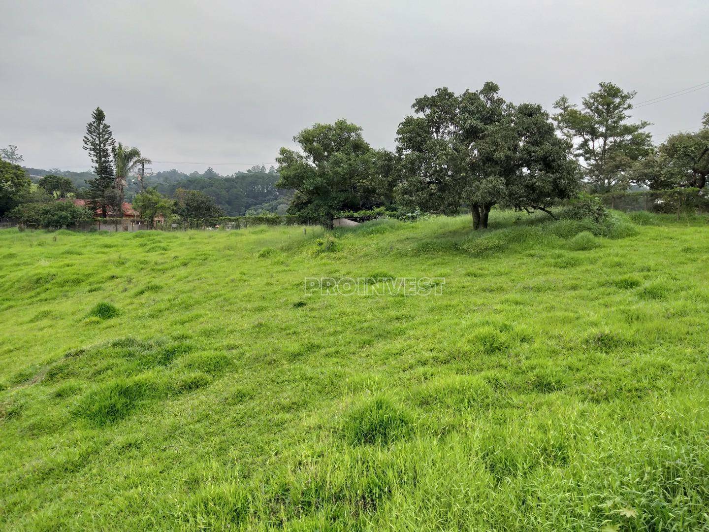 Loteamento e Condomínio à venda, 6000M2 - Foto 5