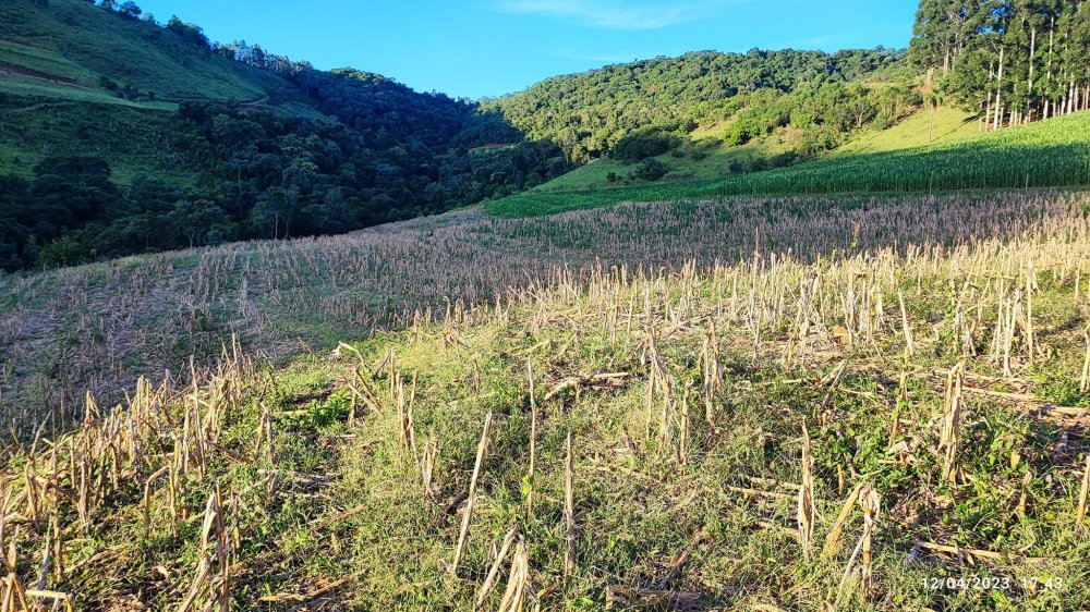 Fazenda à venda, 24m² - Foto 1