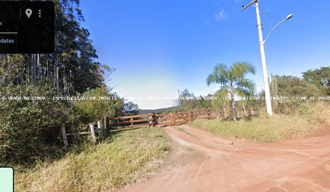 Fazenda à venda com 5 quartos, 20000m² - Foto 2