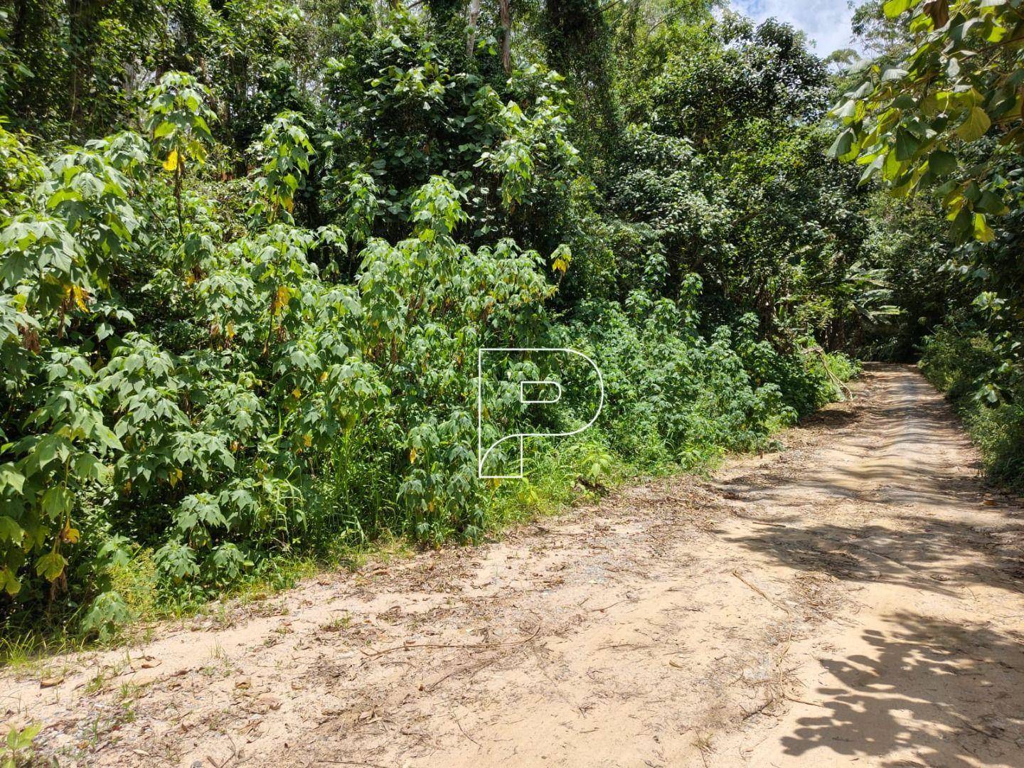 Terreno, 2160 m² - Foto 3