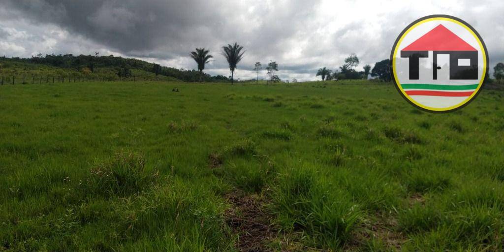 Fazenda, 145 hectares - Foto 10