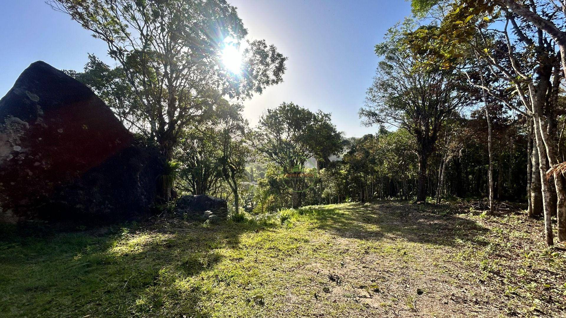 Terreno, 7700 m² - Foto 1