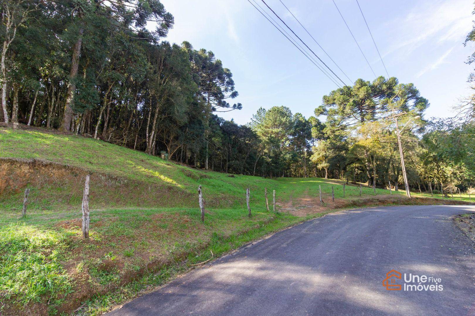 Terreno, 3799 m² - Foto 1