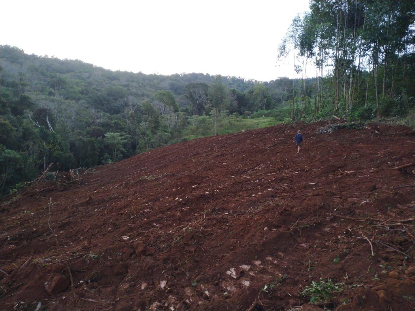 Terreno à venda, 12000m² - Foto 4