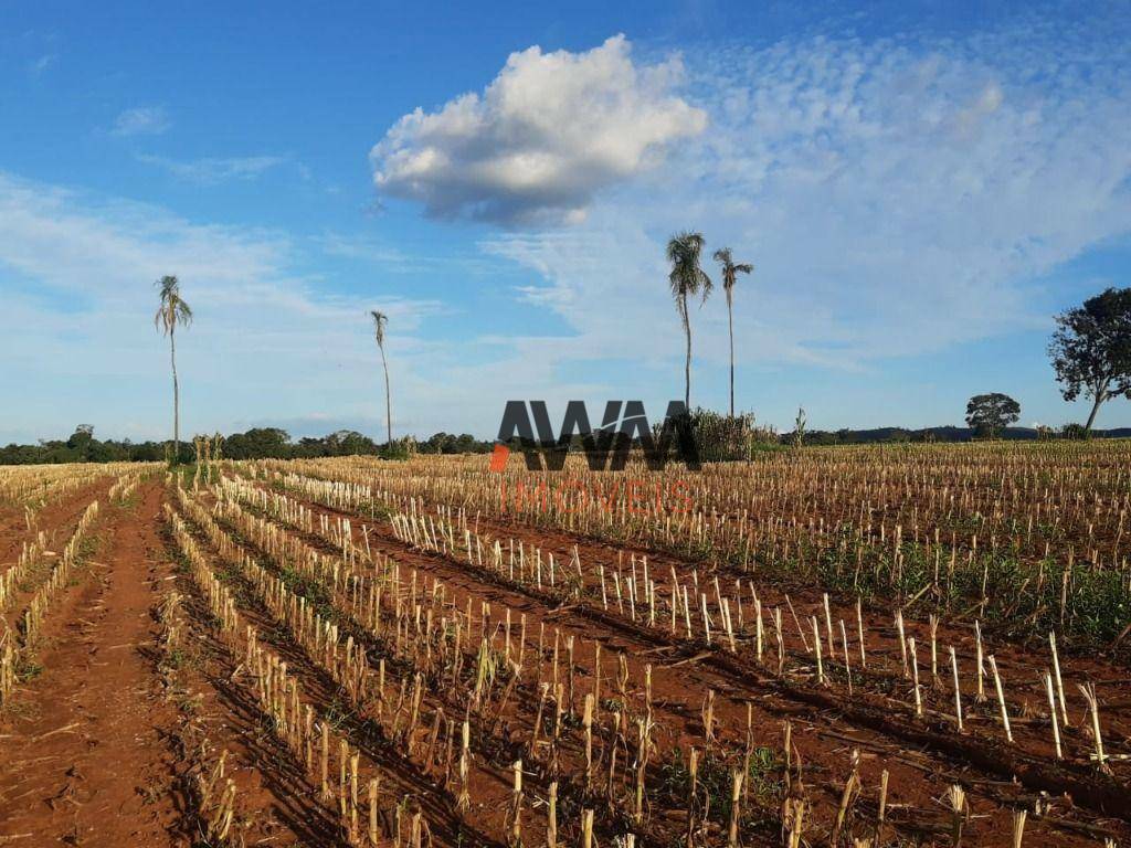 Fazenda à venda, 1380000M2 - Foto 8