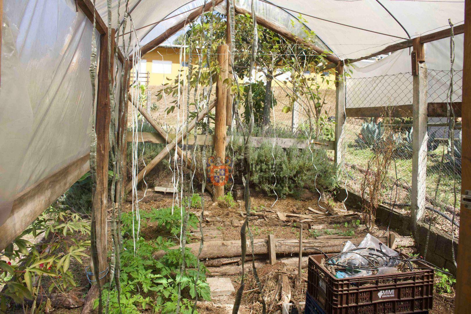 Sítio à venda com 19 quartos, 1859m² - Foto 207