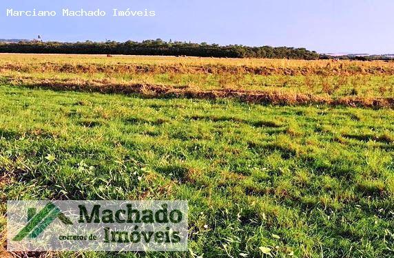 Fazenda à venda, 940000m² - Foto 4
