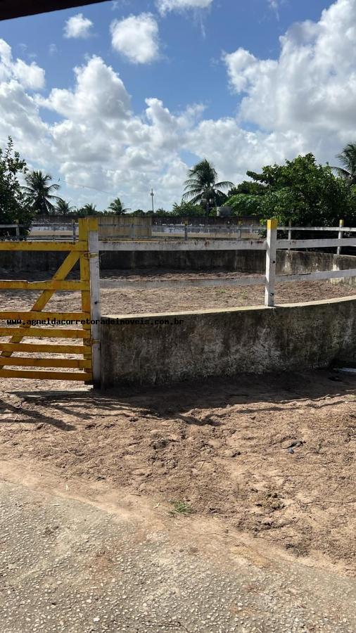 Fazenda à venda com 2 quartos, 6300m² - Foto 13