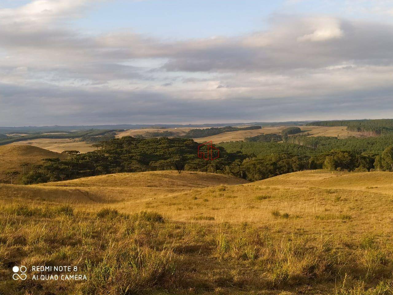 Sítio à venda, 180000M2 - Foto 3