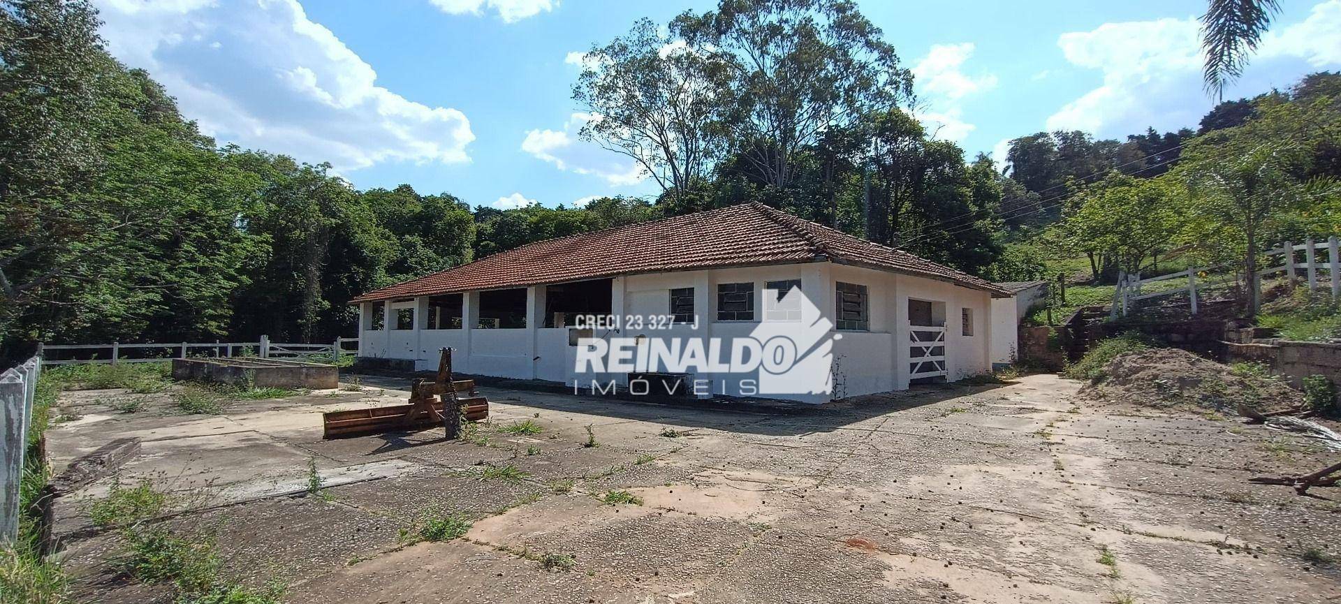 Haras e Área Rural Padrão à venda com 16 quartos, 2500m² - Foto 164