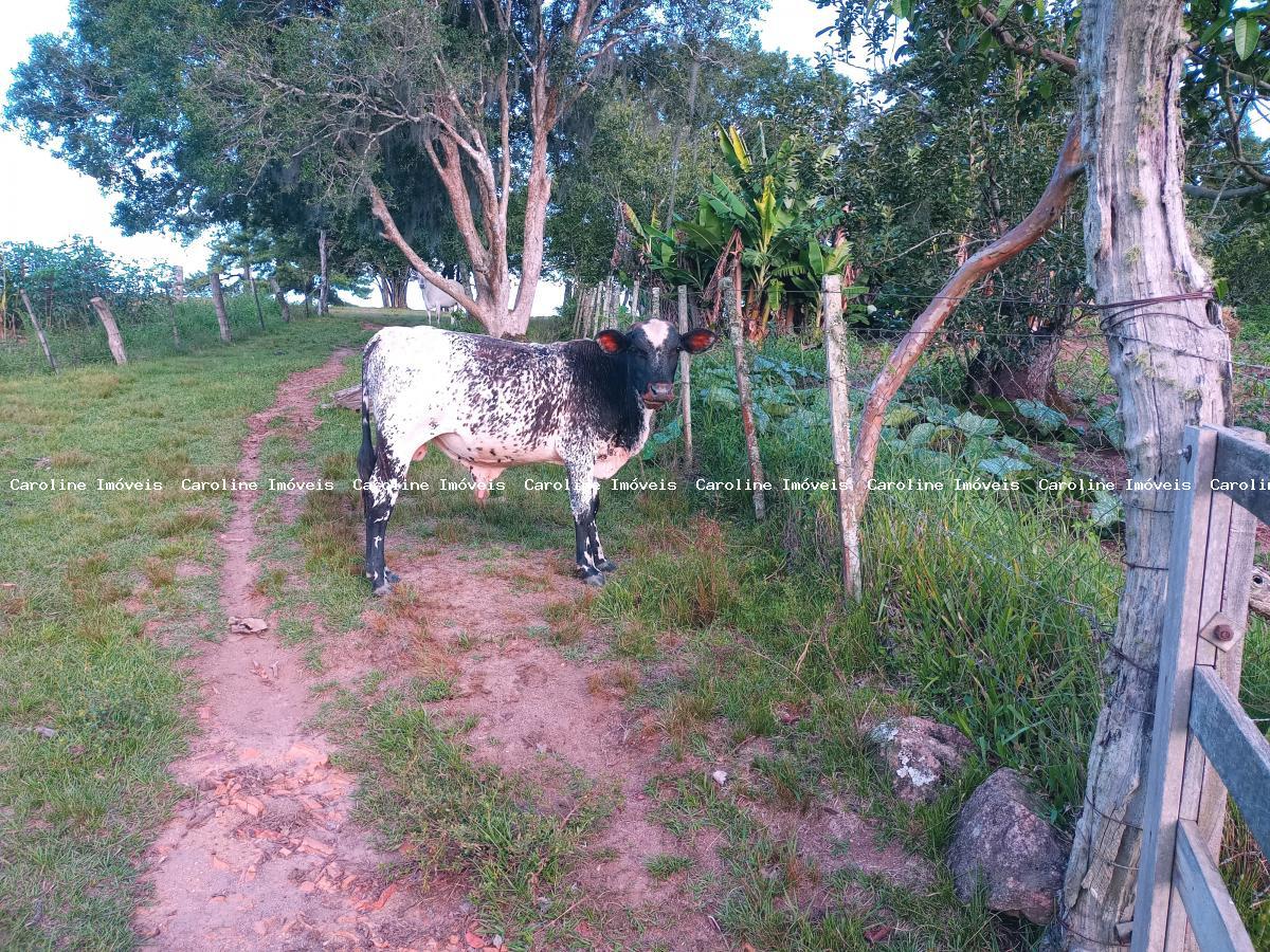 Chácara à venda, 160000m² - Foto 13