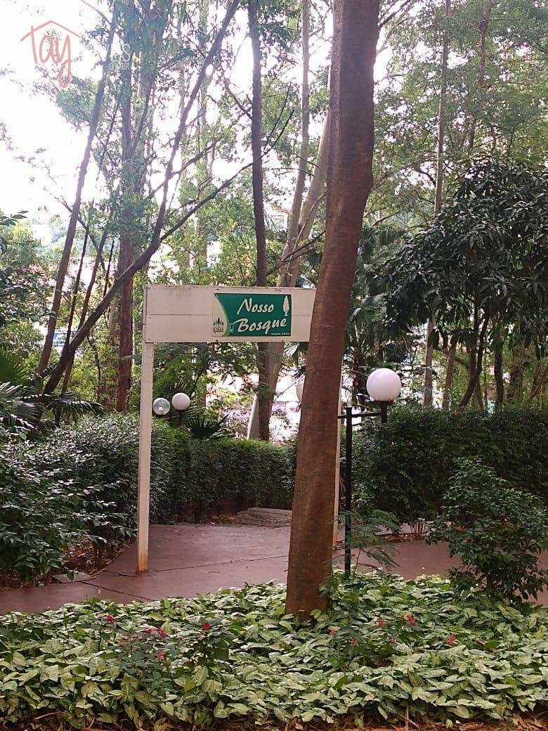 Apartamento, 3 quartos, 75 m² - Foto 72