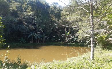 Fazenda à venda com 1 quarto, 100000m² - Foto 3