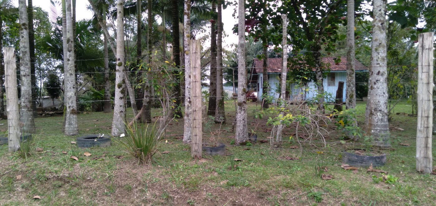 Chácara, 4500 m² - Foto 3