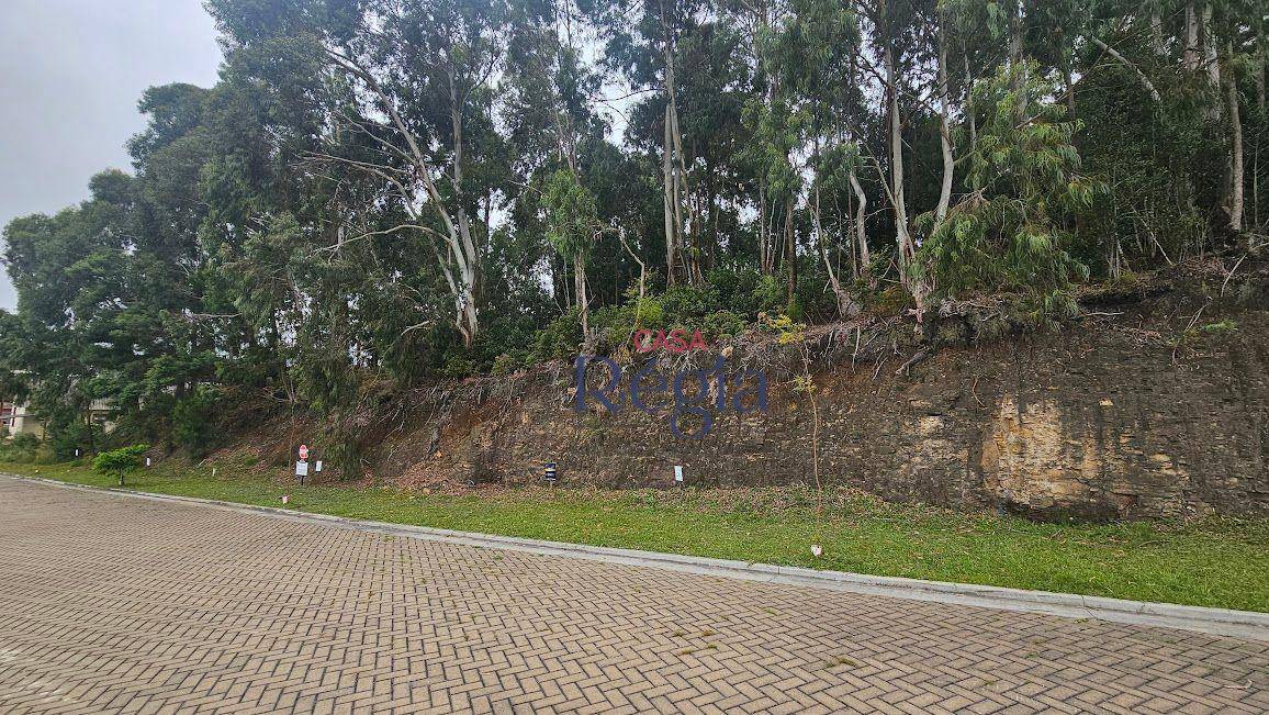 Loteamento e Condomínio, 408 m² - Foto 3