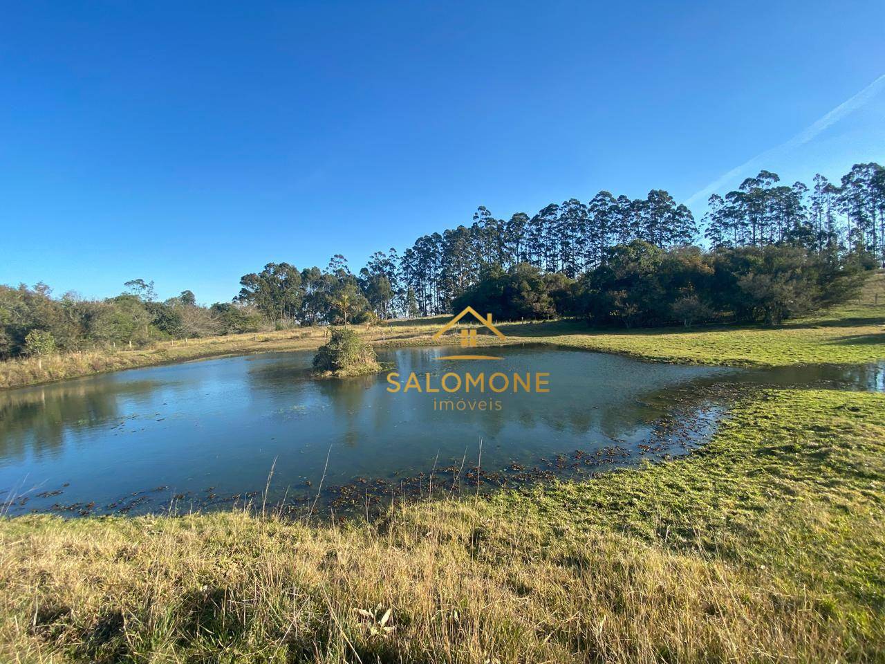 Sítio, 13 hectares - Foto 2