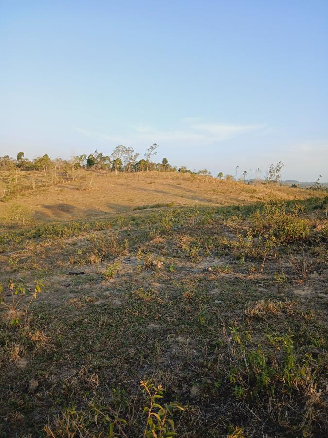 Fazenda à venda com 2 quartos, 146000m² - Foto 24