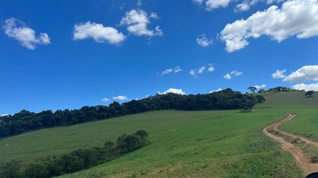 Fazenda, 339 hectares - Foto 3