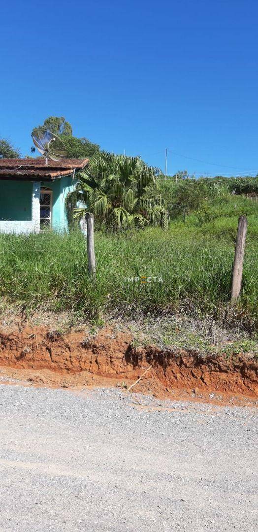 Chácara à venda com 2 quartos, 4000M2 - Foto 22