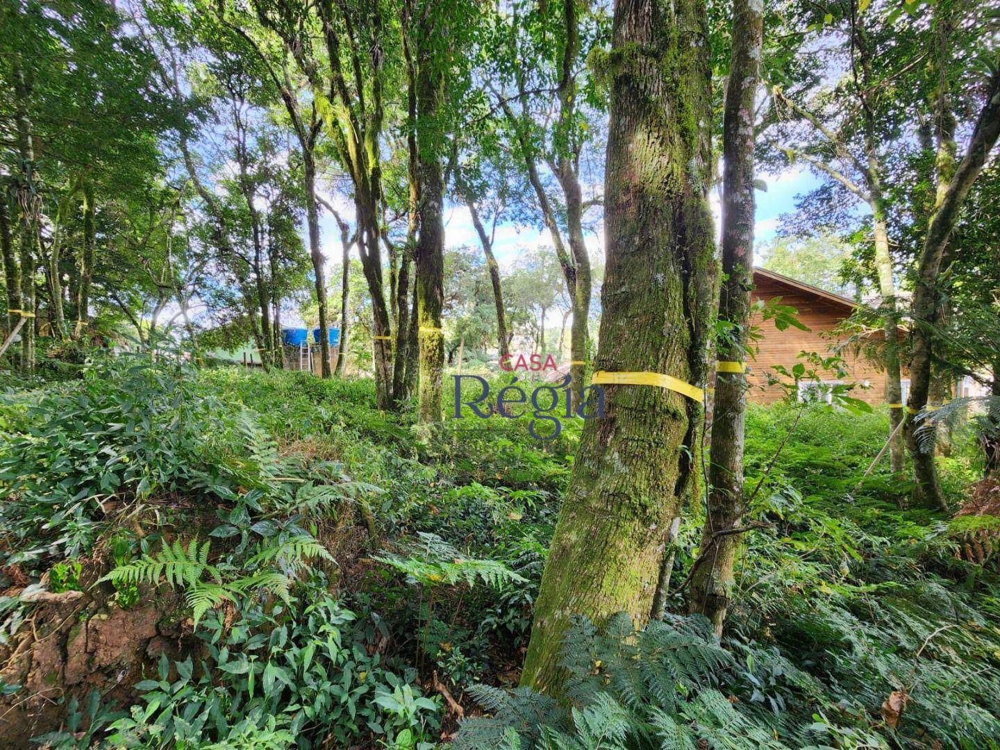 Terreno, 681 m² - Foto 5