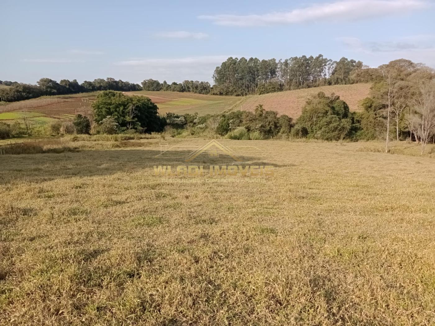 Fazenda à venda com 2 quartos, 4m² - Foto 5