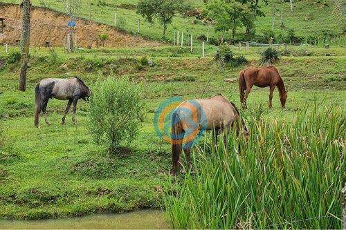 Chácara, 2 hectares - Foto 20