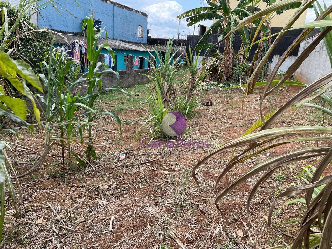 Terreno à venda, 250M2 - Foto 5