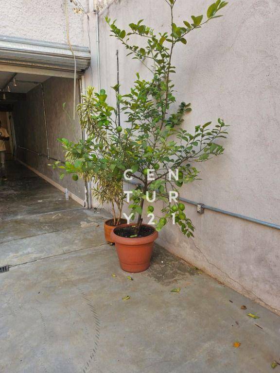 Casa à venda e aluguel, 200m² - Foto 5