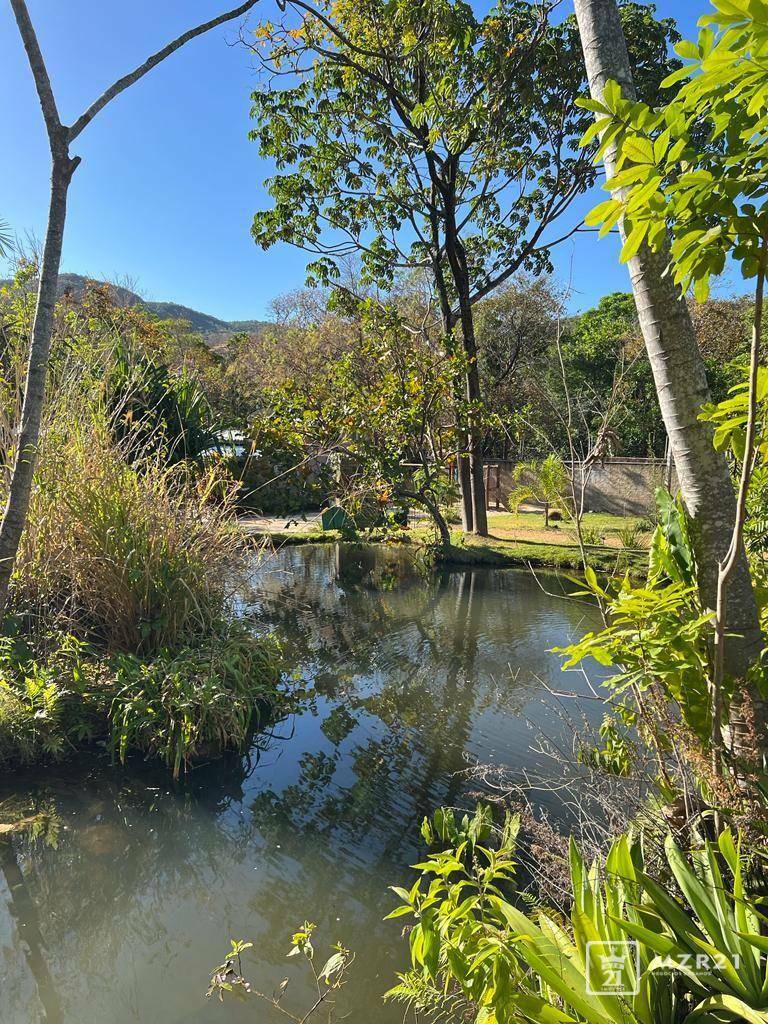 Chácara à venda com 4 quartos, 6000M2 - Foto 11