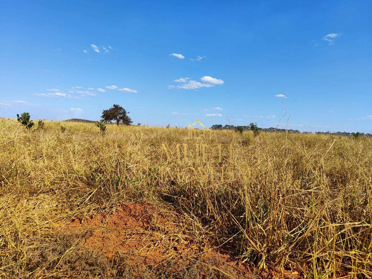 Fazenda à venda, 2976600M2 - Foto 10