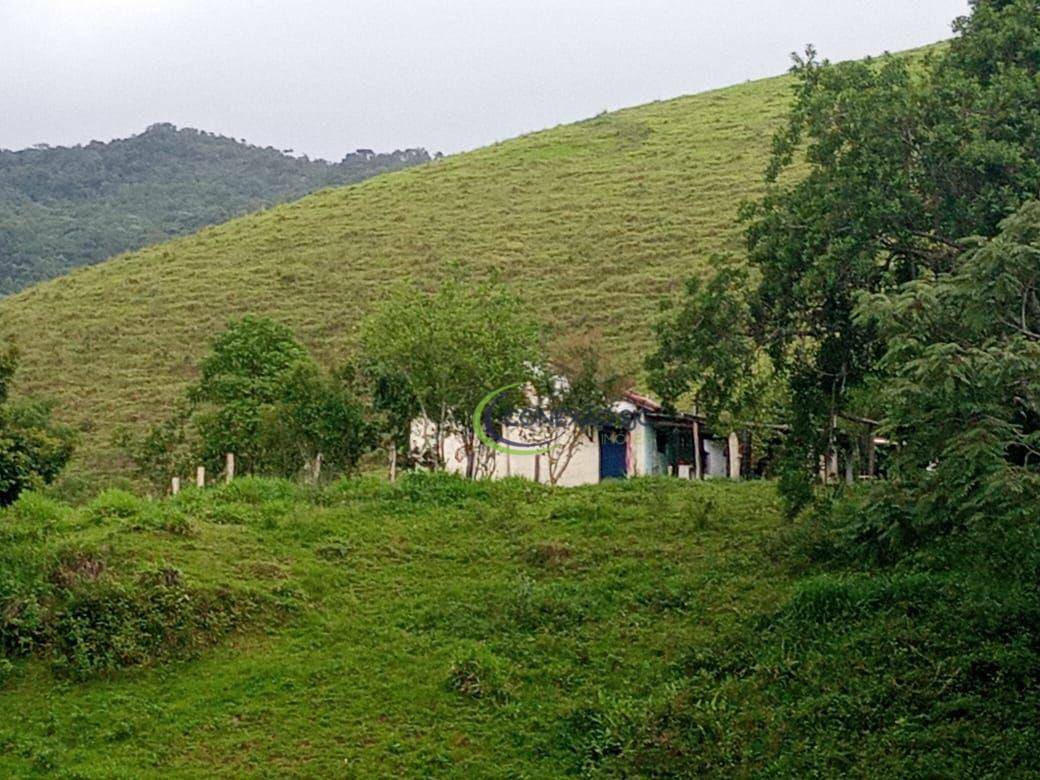 Fazenda à venda com 2 quartos, 1355200M2 - Foto 22