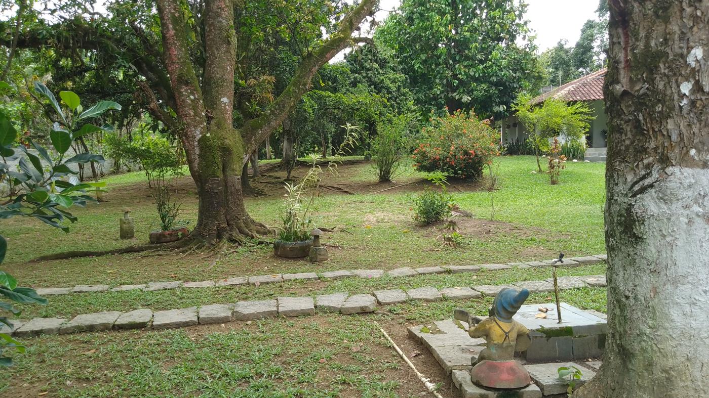 Sítio à venda, 10000m² - Foto 14