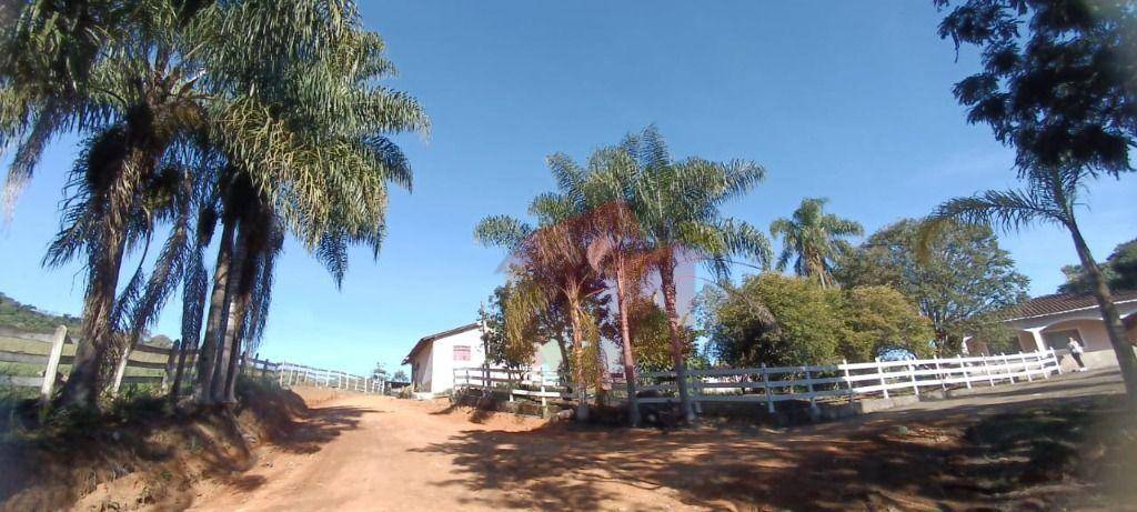 Sítio, 10 hectares - Foto 77