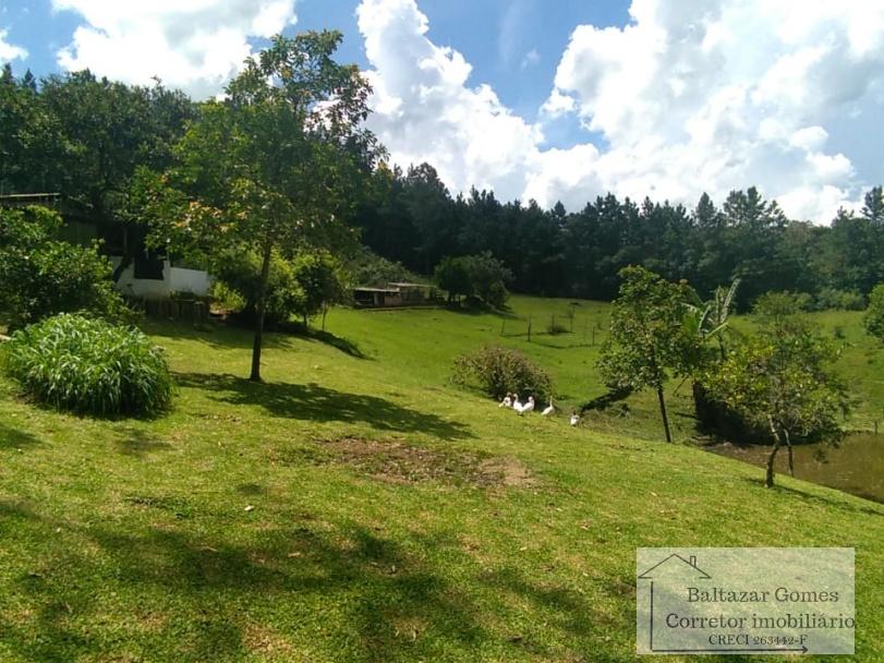 Fazenda à venda com 2 quartos, 72000m² - Foto 10