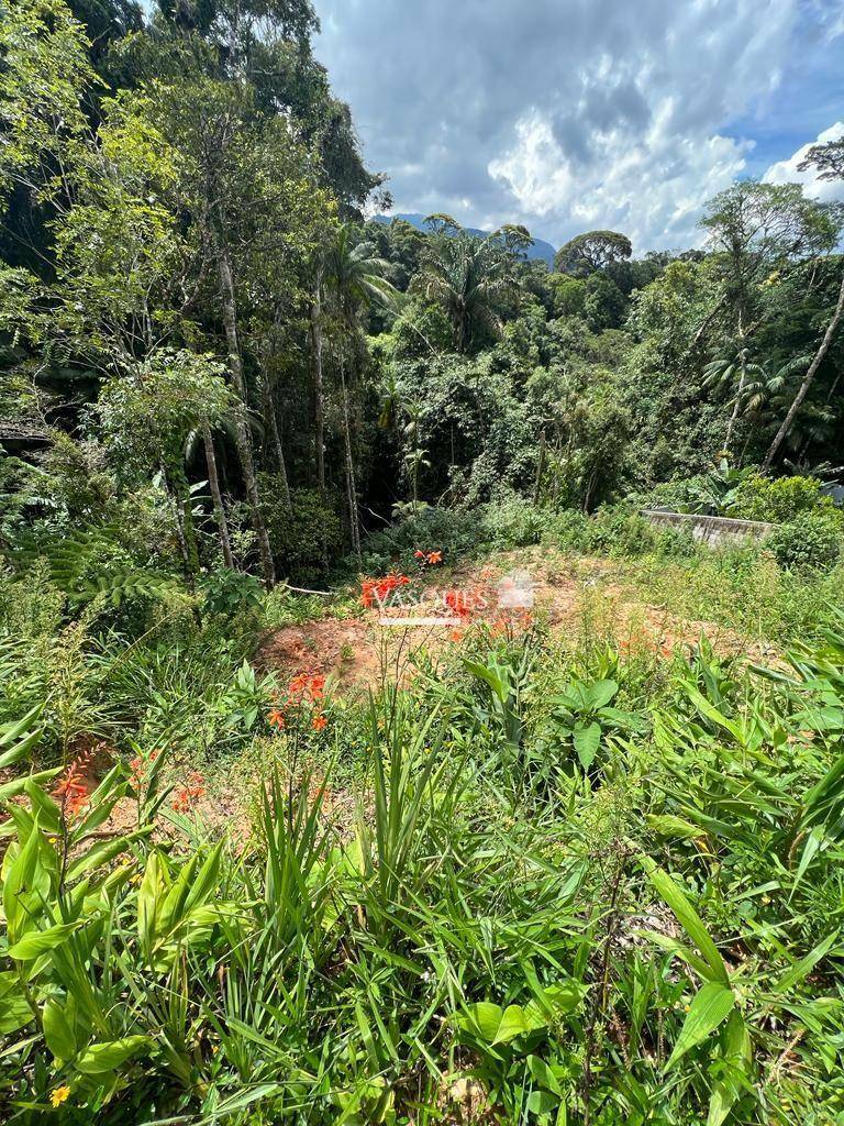 Terreno à venda, 725M2 - Foto 3