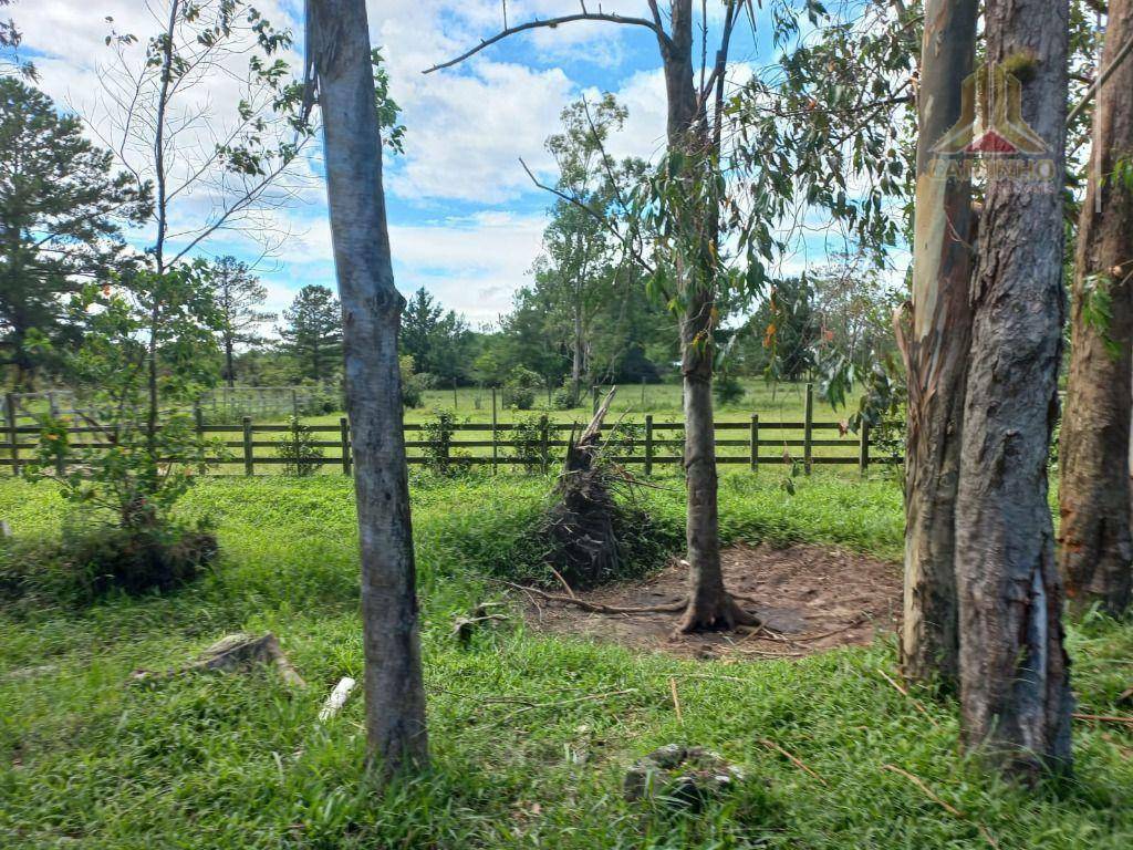 Fazenda à venda, 600000M2 - Foto 5