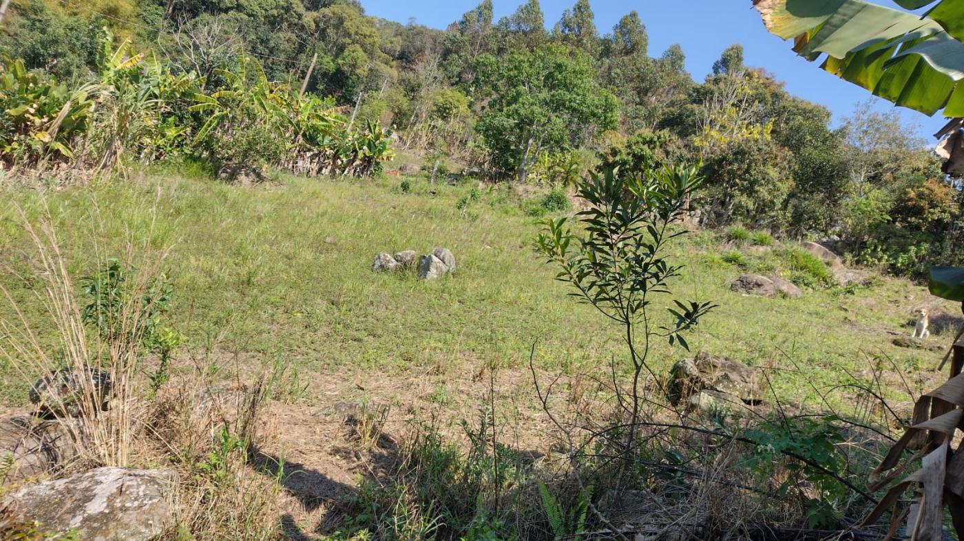 Fazenda à venda com 1 quarto, 6800m² - Foto 1