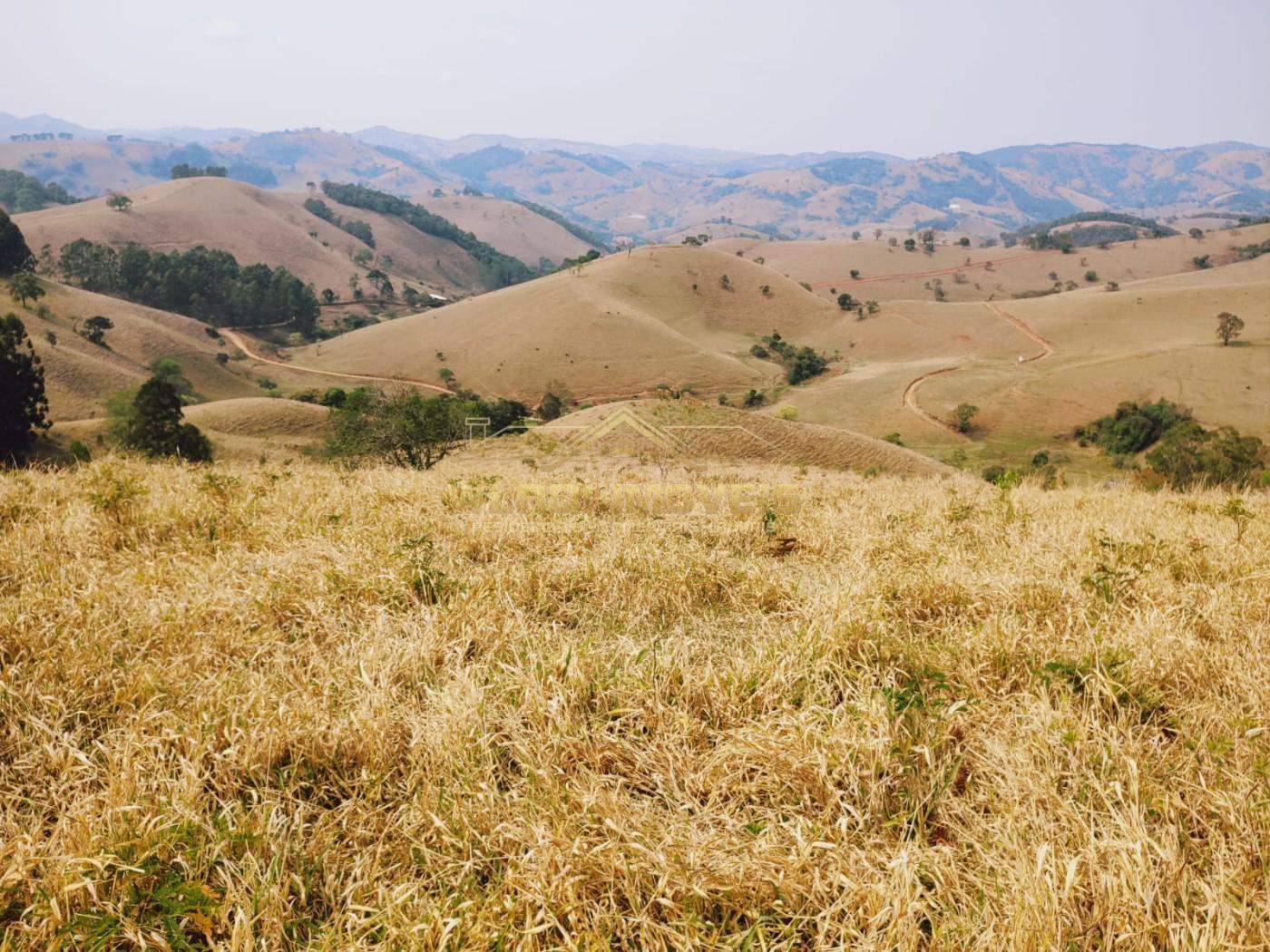 Terreno à venda, 20000m² - Foto 10